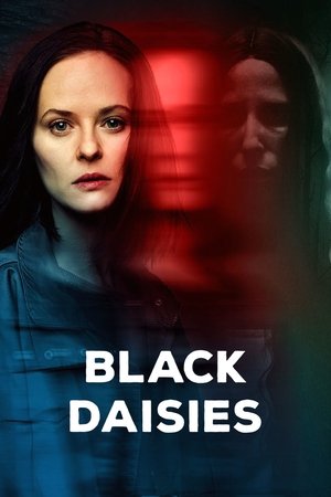 Black Daisies