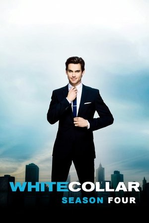 FBI : Duo très spécial Saison 4 poster