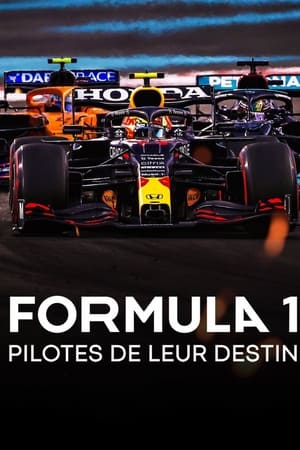 Formula 1 : Pilotes de leur destin