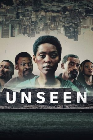 Furtive - saison 1 poster