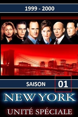 New York Unité Spéciale saison 1