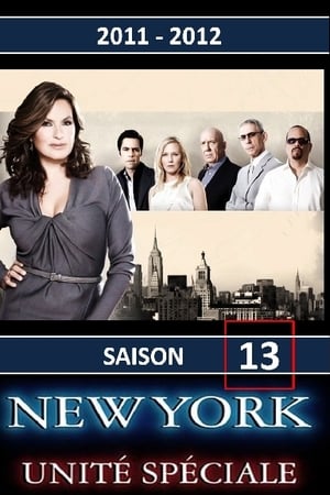 New York Unité Spéciale saison 13