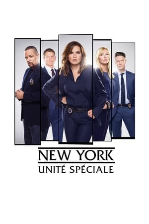 New York Unité Spéciale saison 20