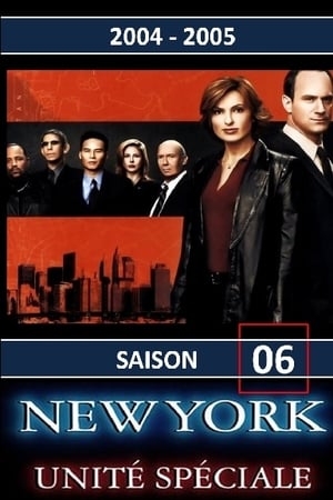 New York Unité Spéciale saison 6