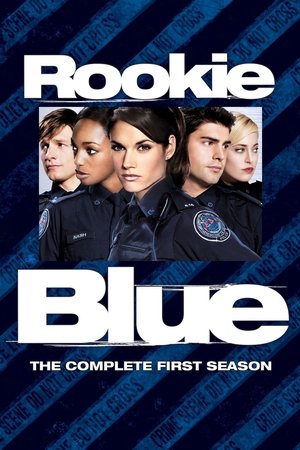 Rookie Blue - saison 1 poster