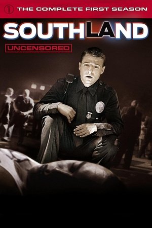 Southland Saison 1 poster