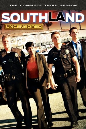 Southland Saison 3 poster