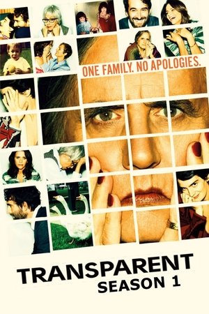 Transparent - saison 1 poster