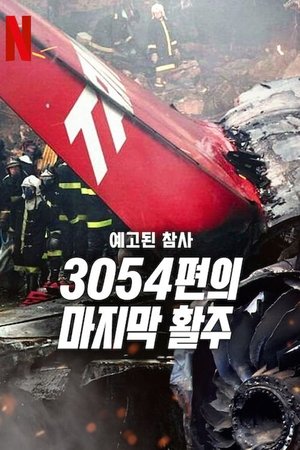 Vol 3054 : Une tragédie annoncée