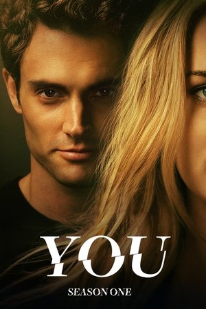 You Saison 1 poster